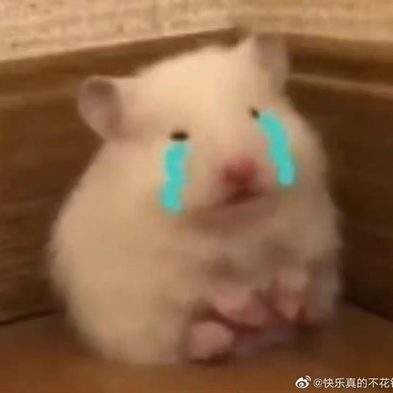 白屿惊鹿