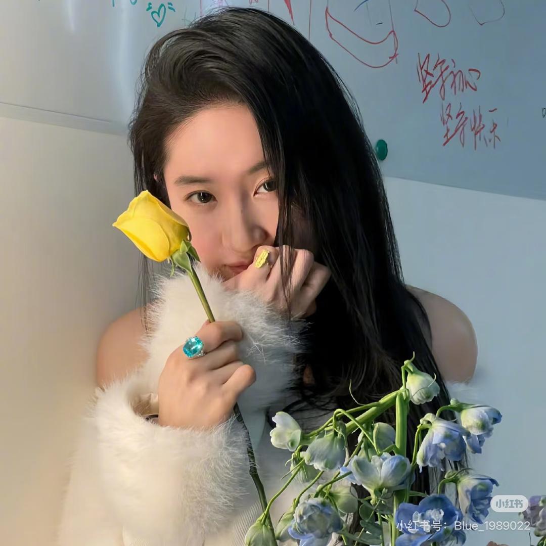 仙女姐姐)