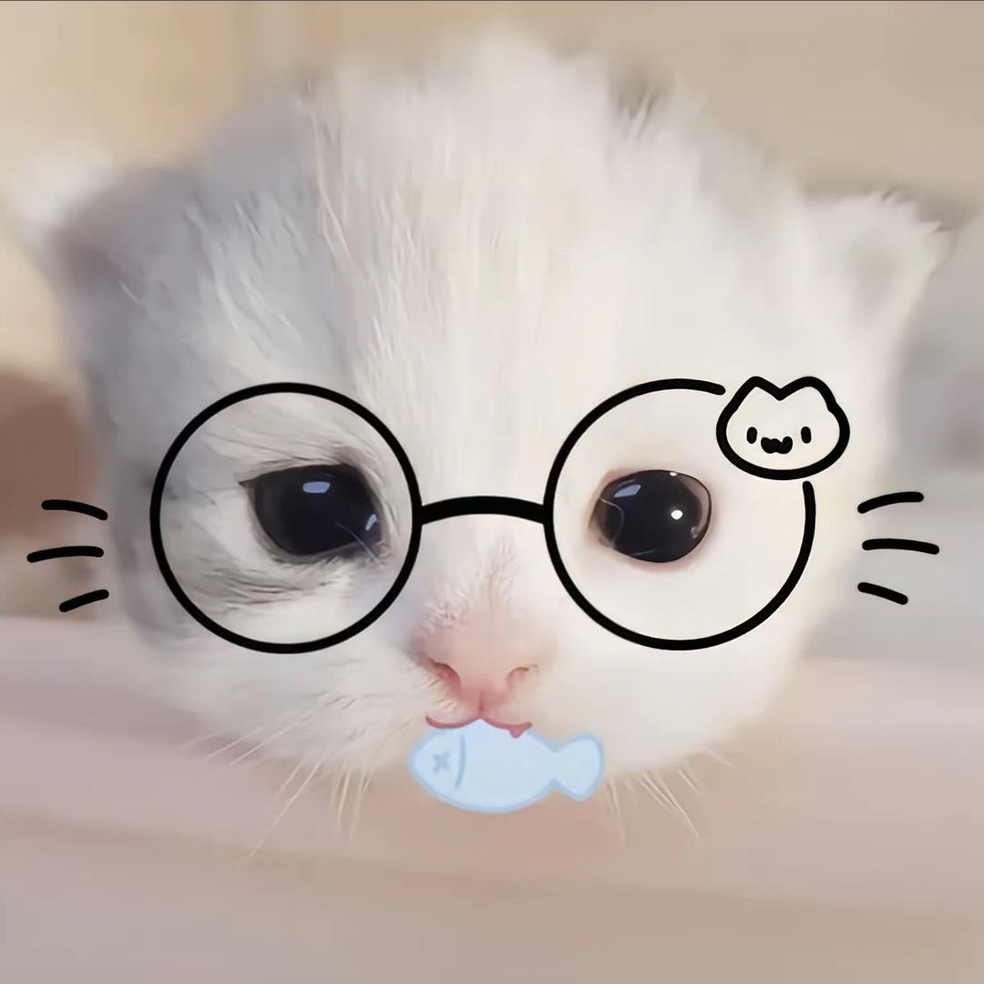 我是一只白色的小猫