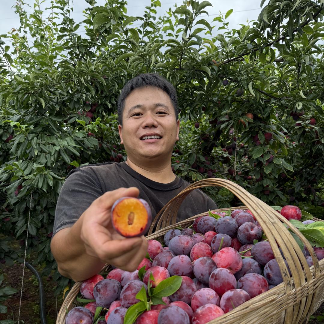 小梦的鲜果小铺