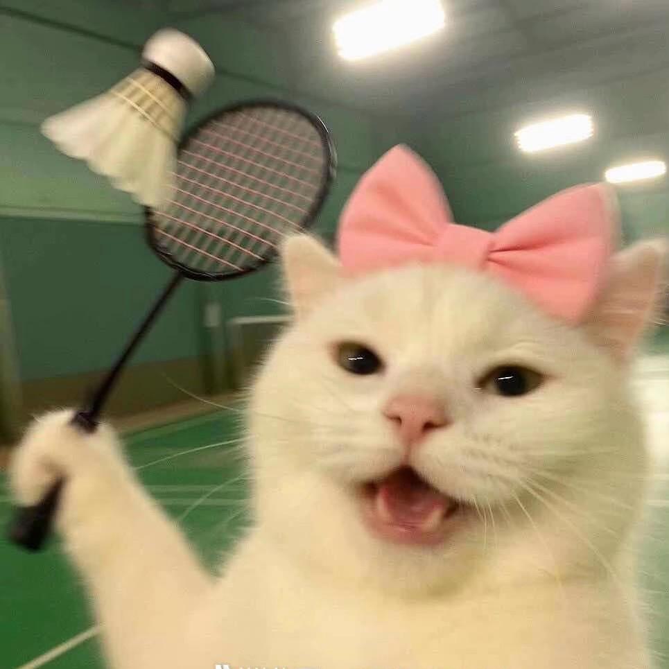 梁小只