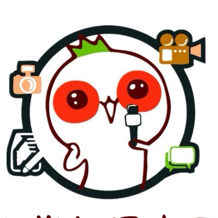 大学生记者团（湖工职院）