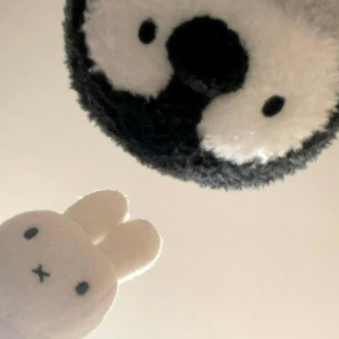 卫生纸