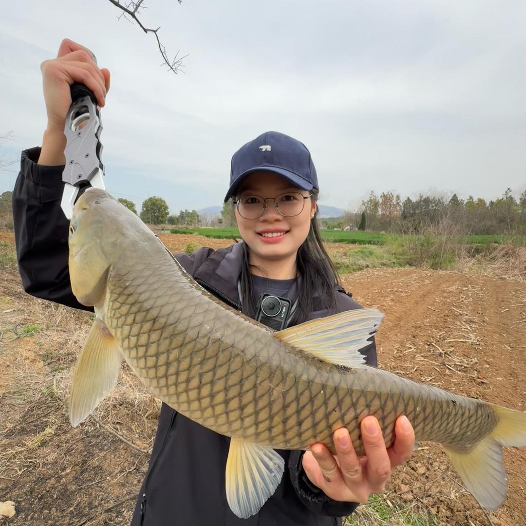 香菜钓鱼🎣