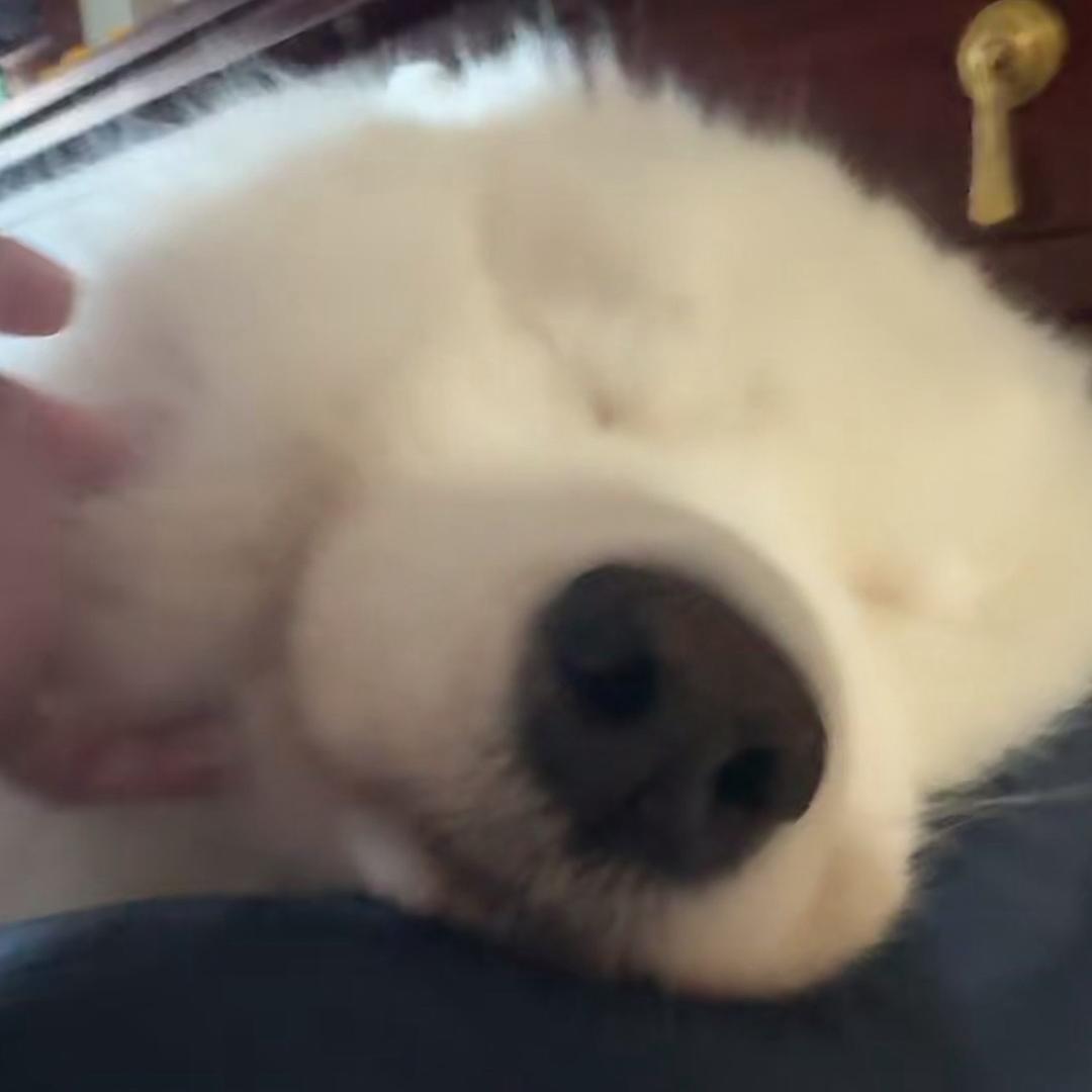 凛