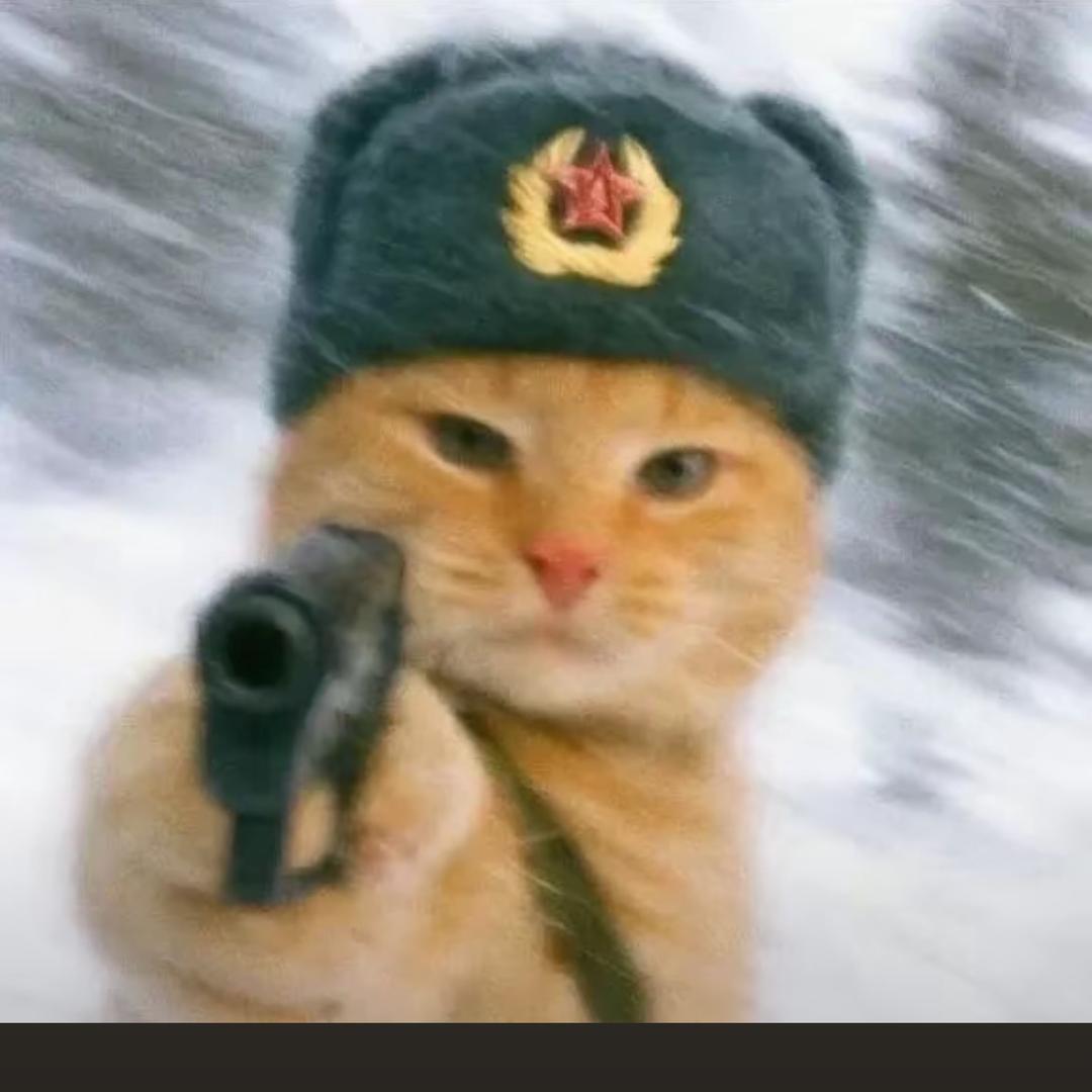 sz