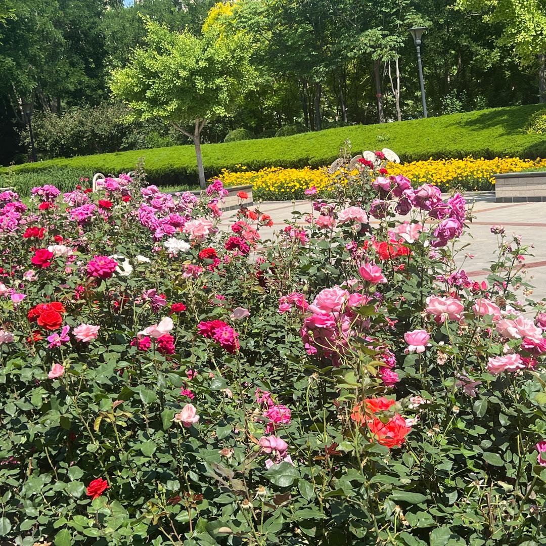 @赵一月 （美食生活）