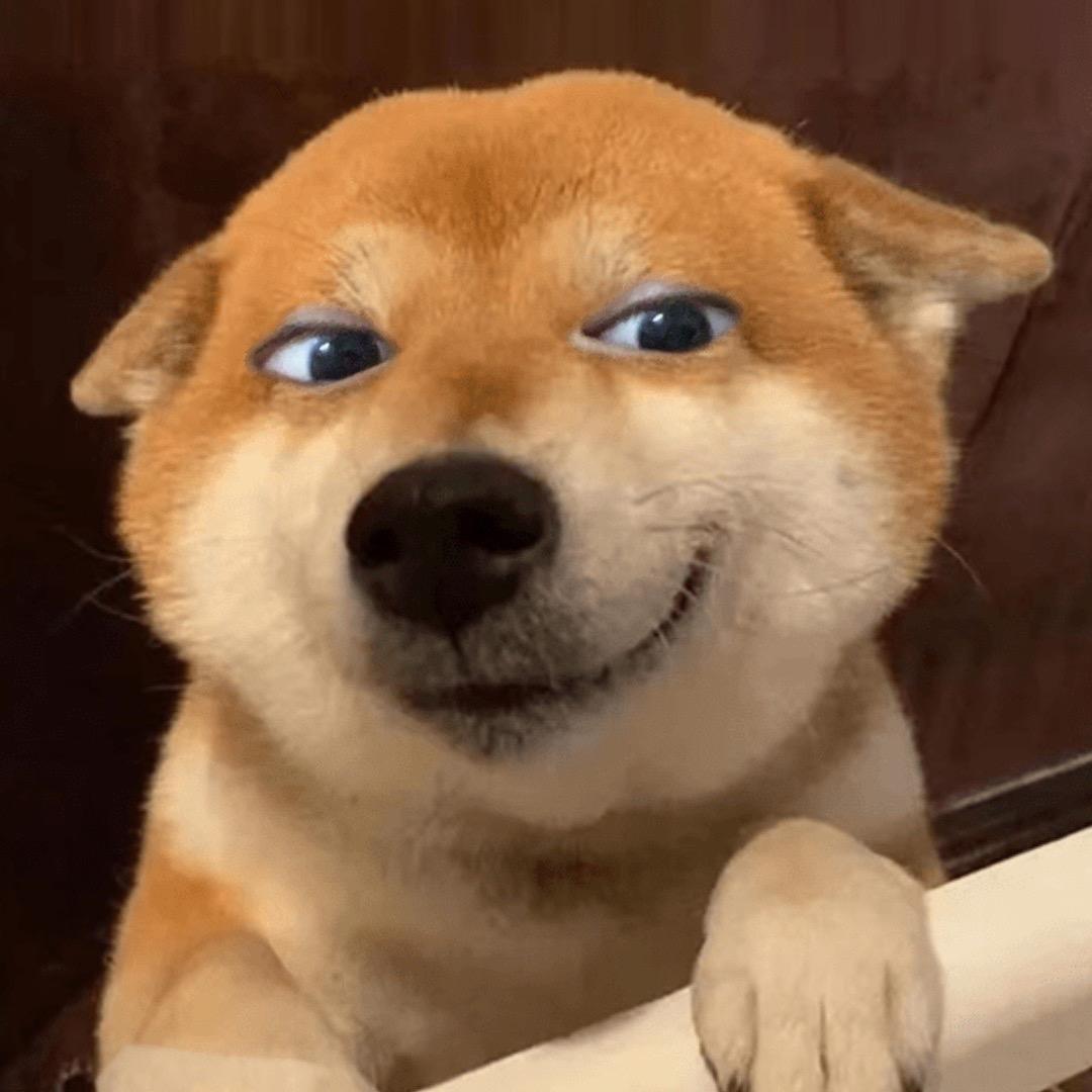 小贱哈