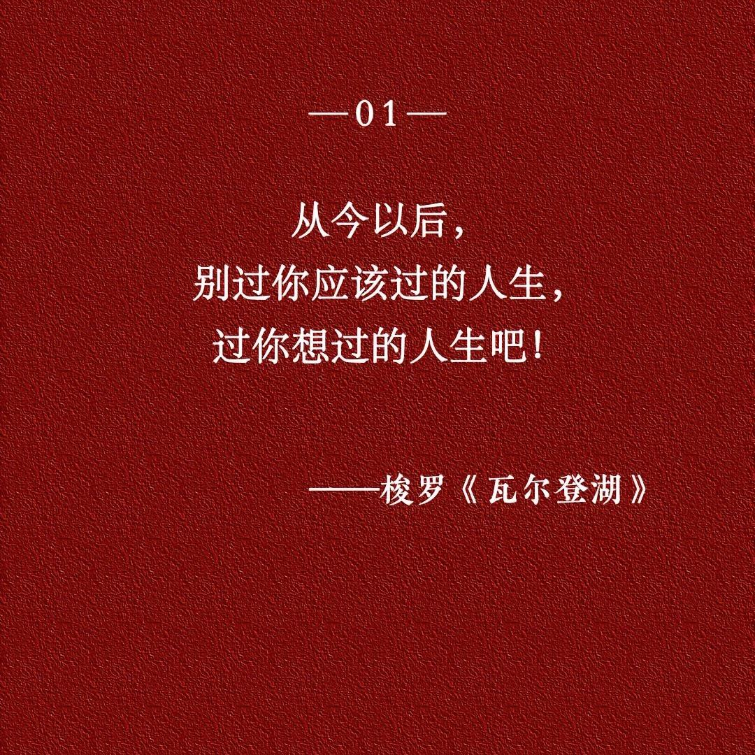啊成哥