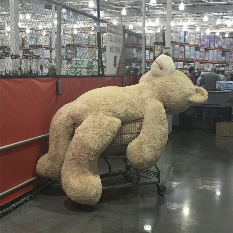 高大威猛小狮子