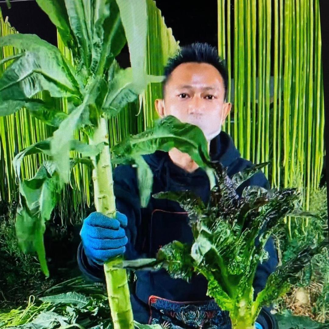 谦之优品苍