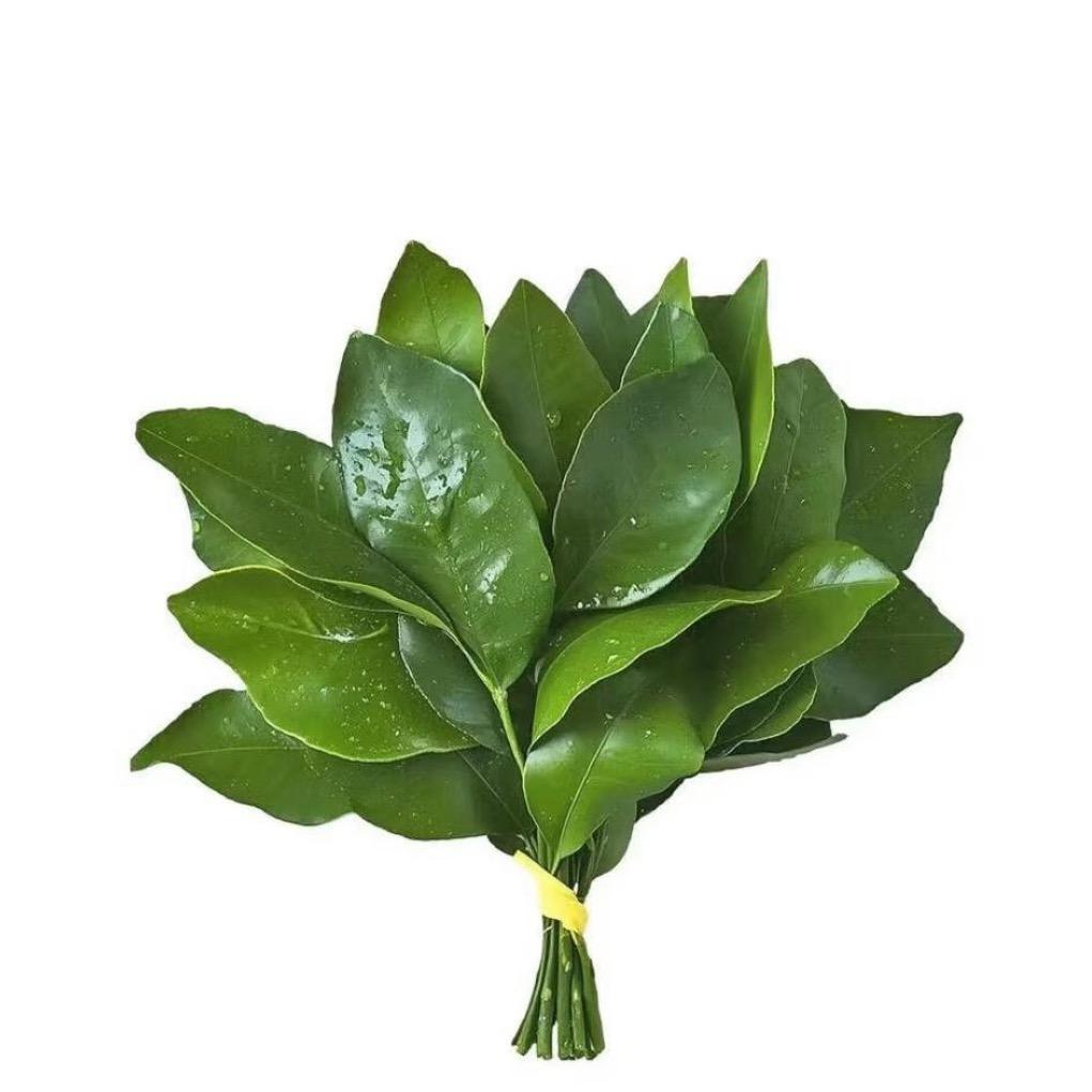 柚