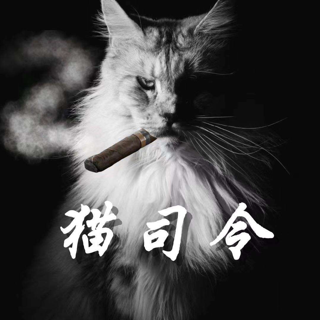 足坛猫司令