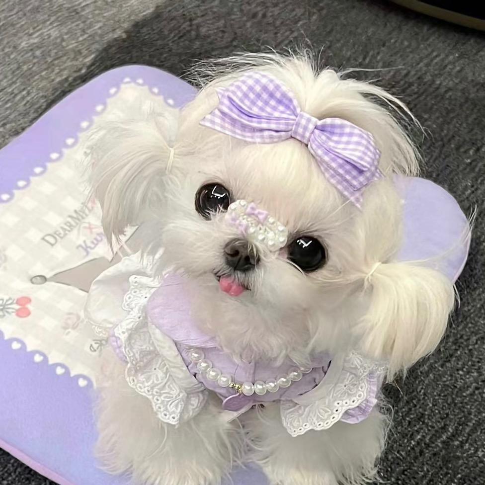 CC☁️☁️