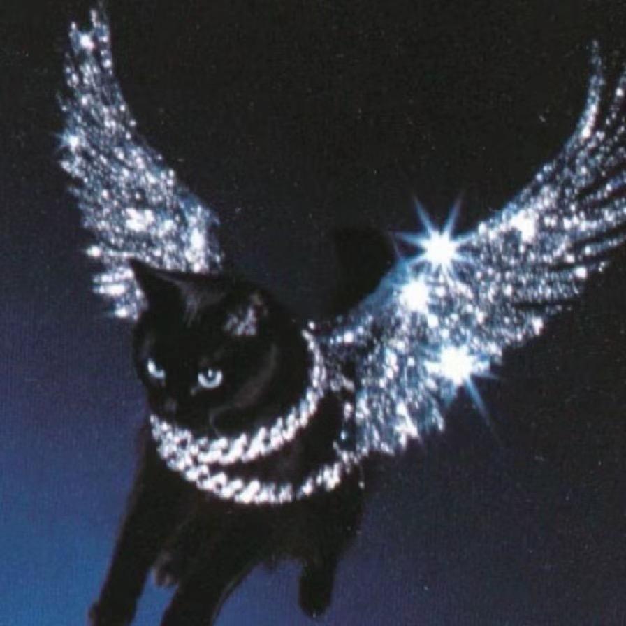 Pitril💤、（小番茄