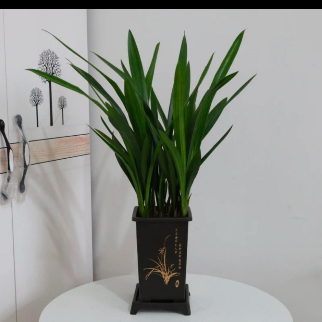 汉中金木垚建筑劳务有限公司