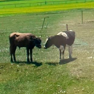 幸福自由（新桃服装定制）