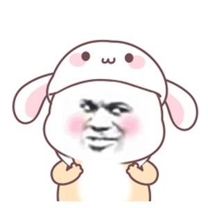 柯基改变生活