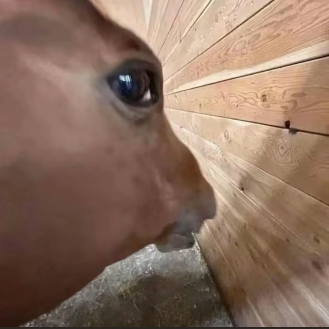 不太想回复