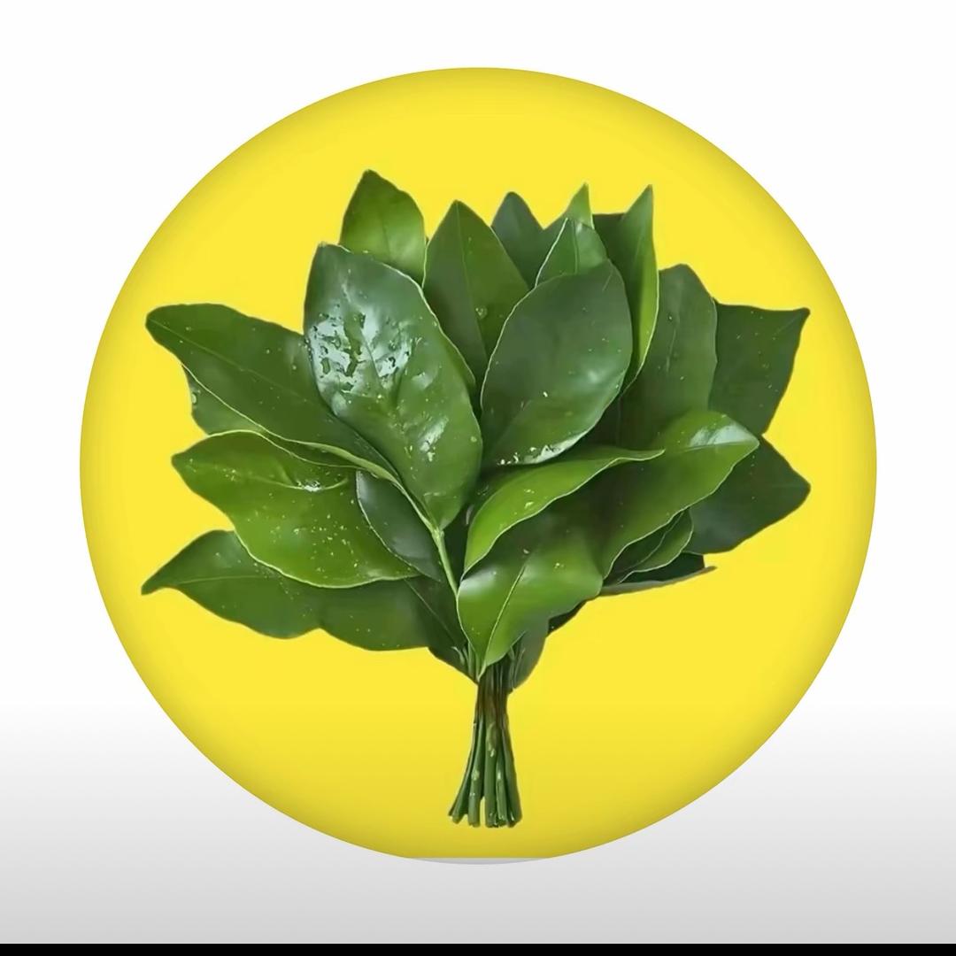风是自由的，希望你也是……