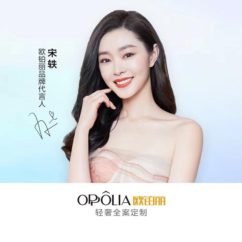 欧铂丽轻奢全案定制(宁晋店)