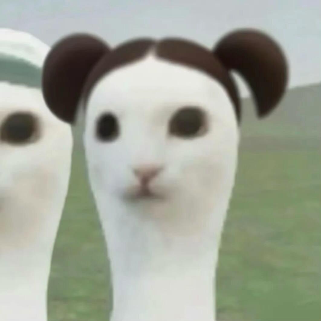 等夏天