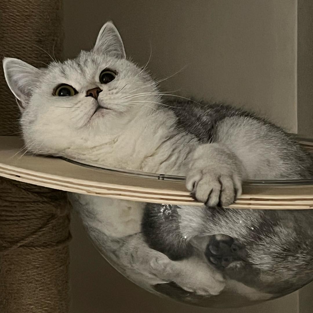 月亮是个傲娇怪