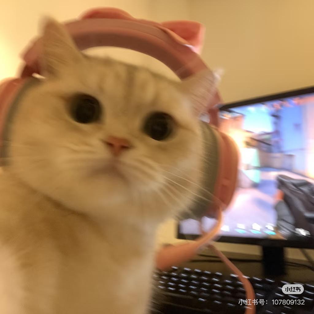 晕晕星星（见过阿蒲黄子jojo主任版）