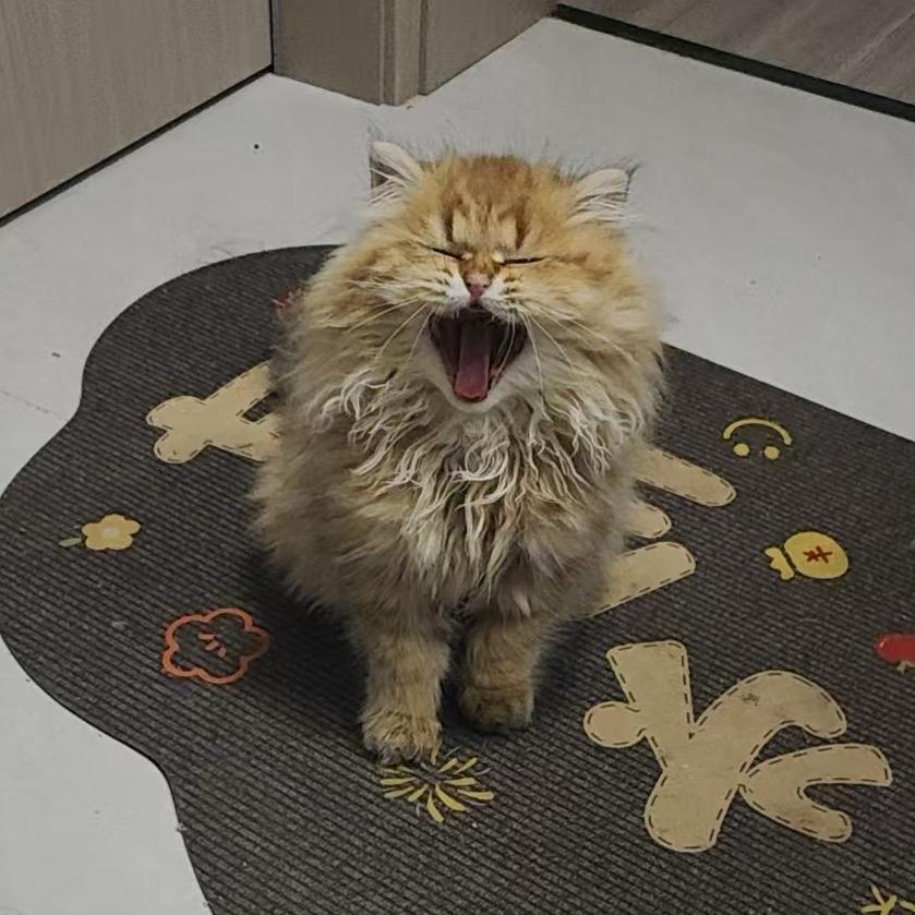 猛戳独眼龙那只好眼（海外版）