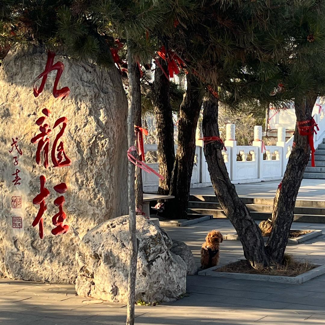 ༄曙ོྂཾ࿆༊࿆光࿆ྂ࿐