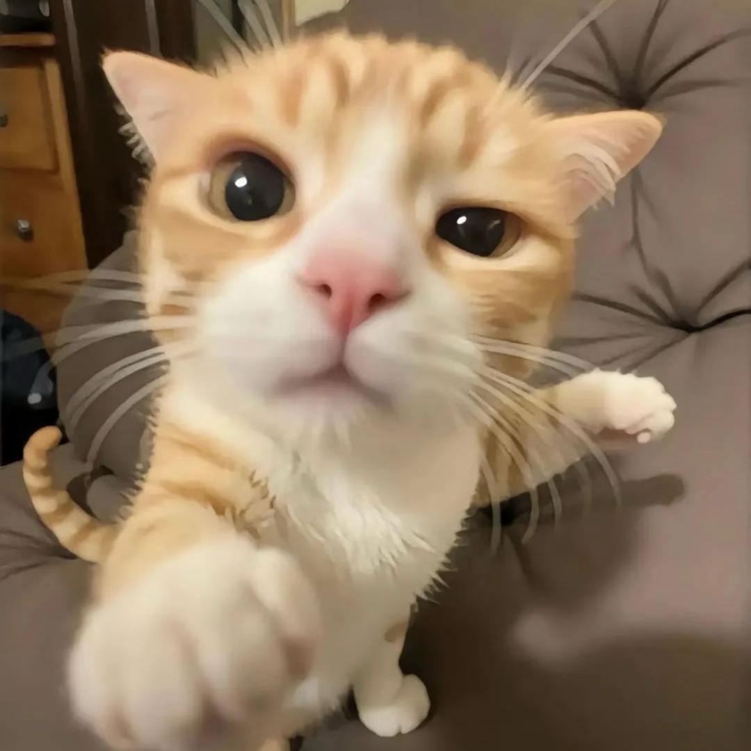 伢伢乐