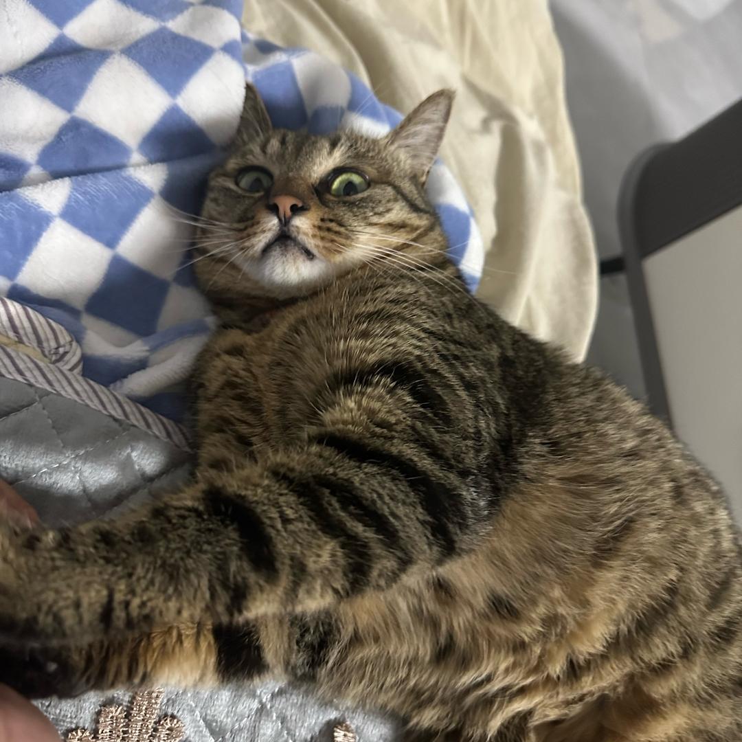 在风中