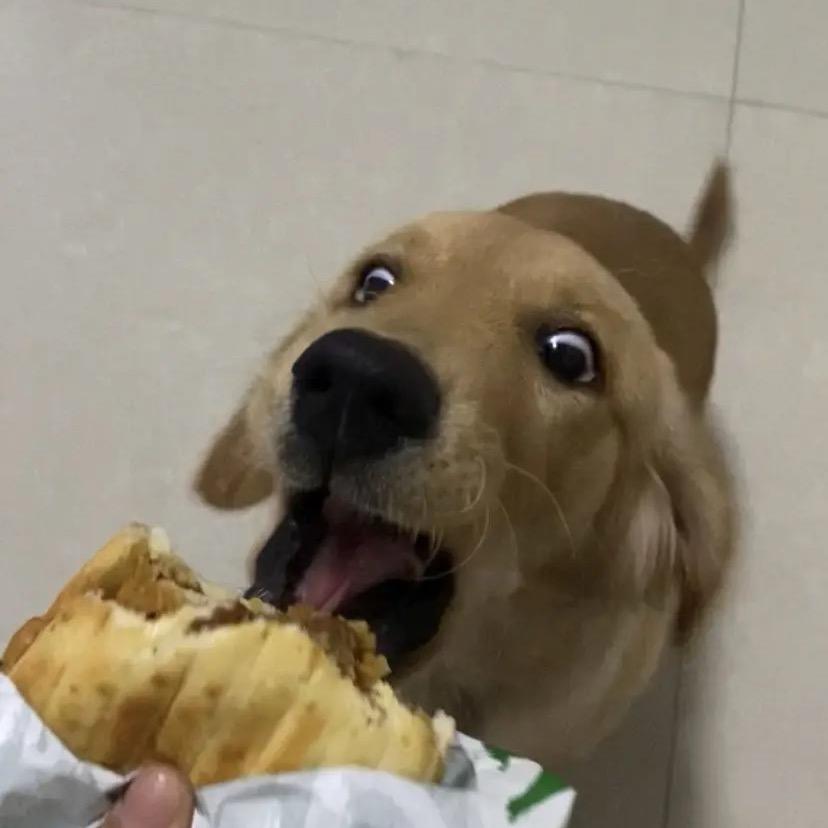 安多多
