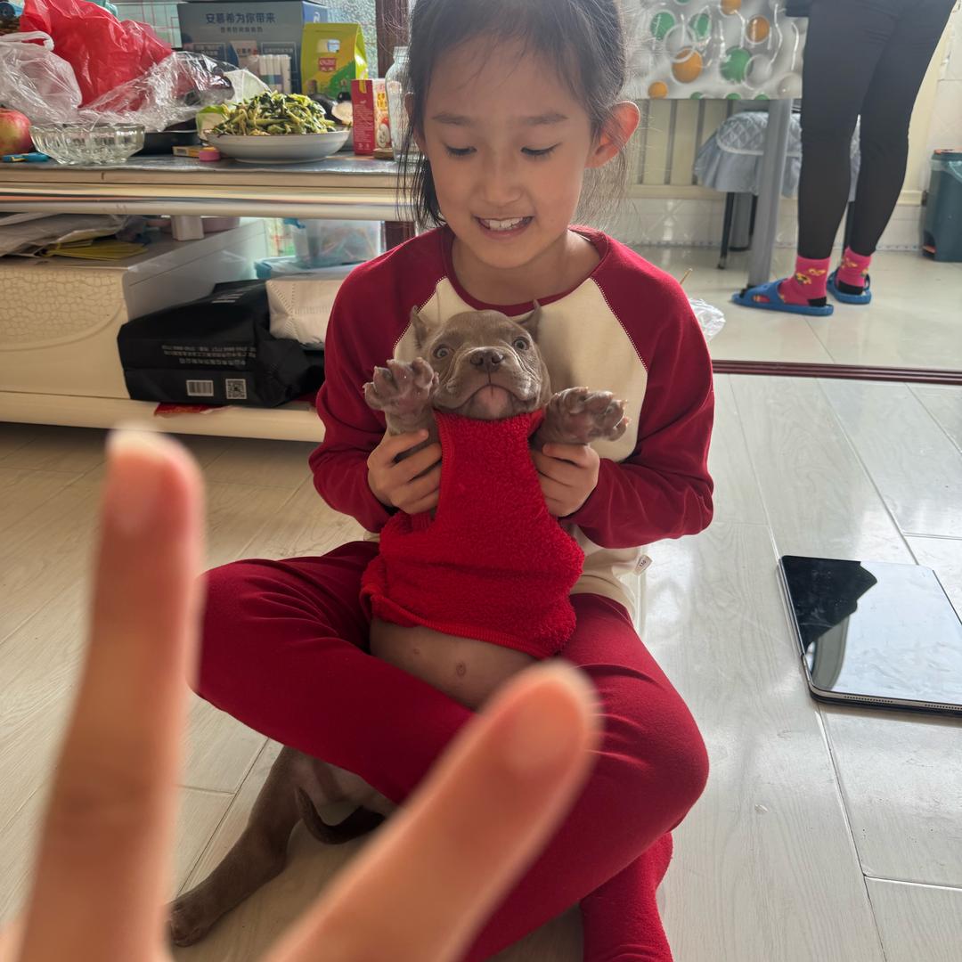 恶霸李多米🐶