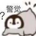 金闪闪