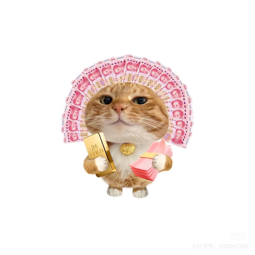 啵啵的猫世界