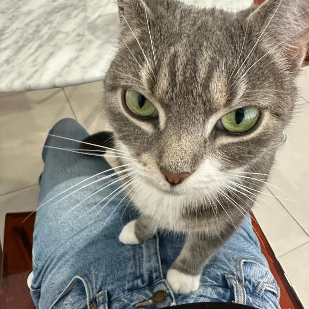 啄木鸟Eason你德福4x4了吗