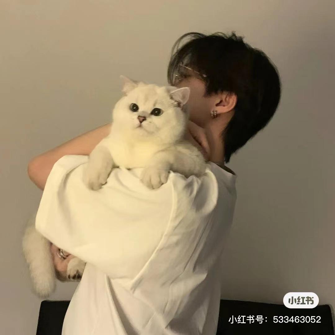 👑正版💎金刚👑