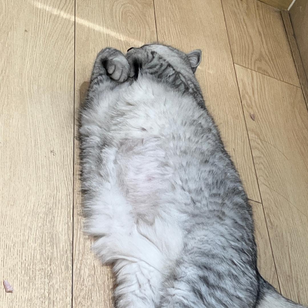 奶油机器（不接订书机延长）