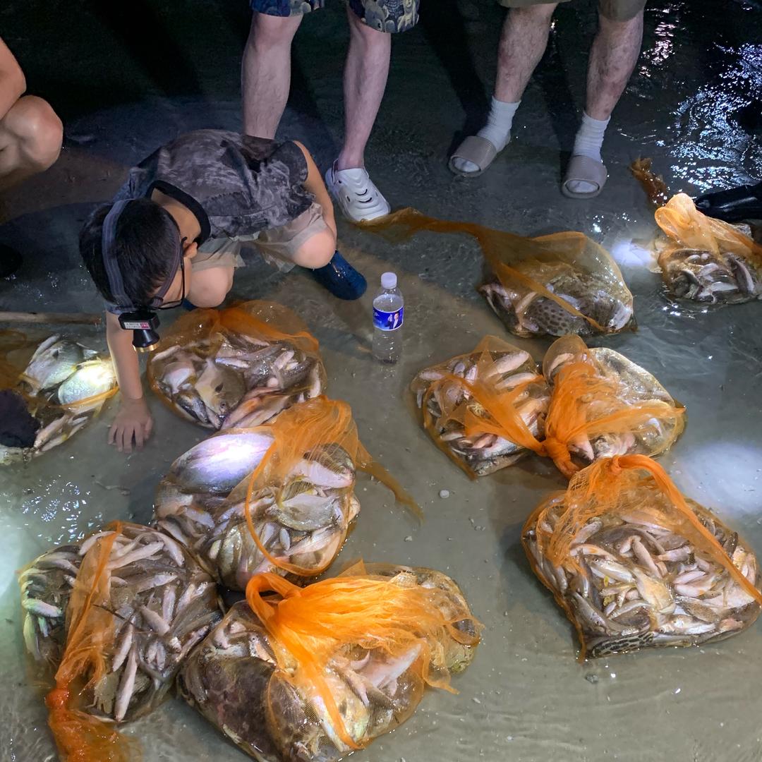 北海围网赶海人士