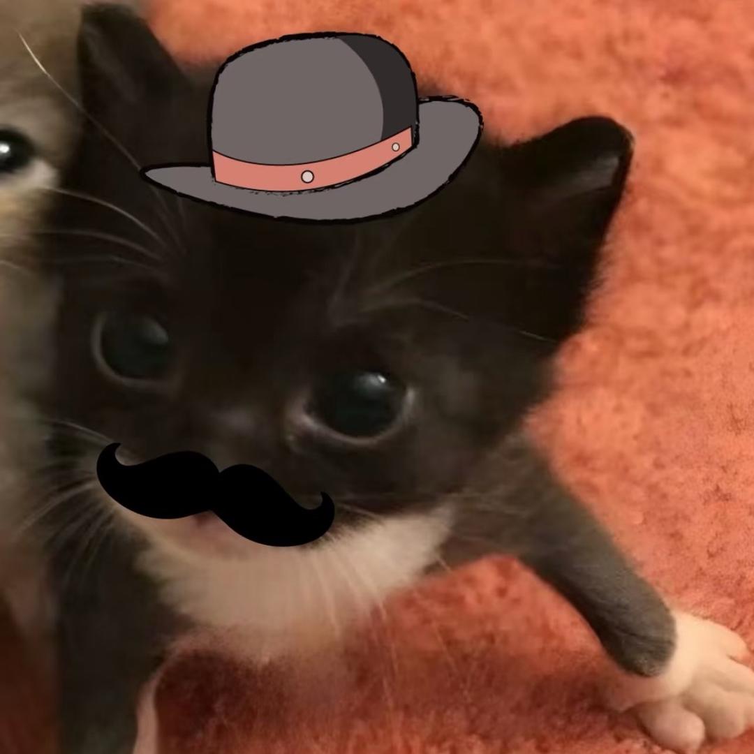 HaO