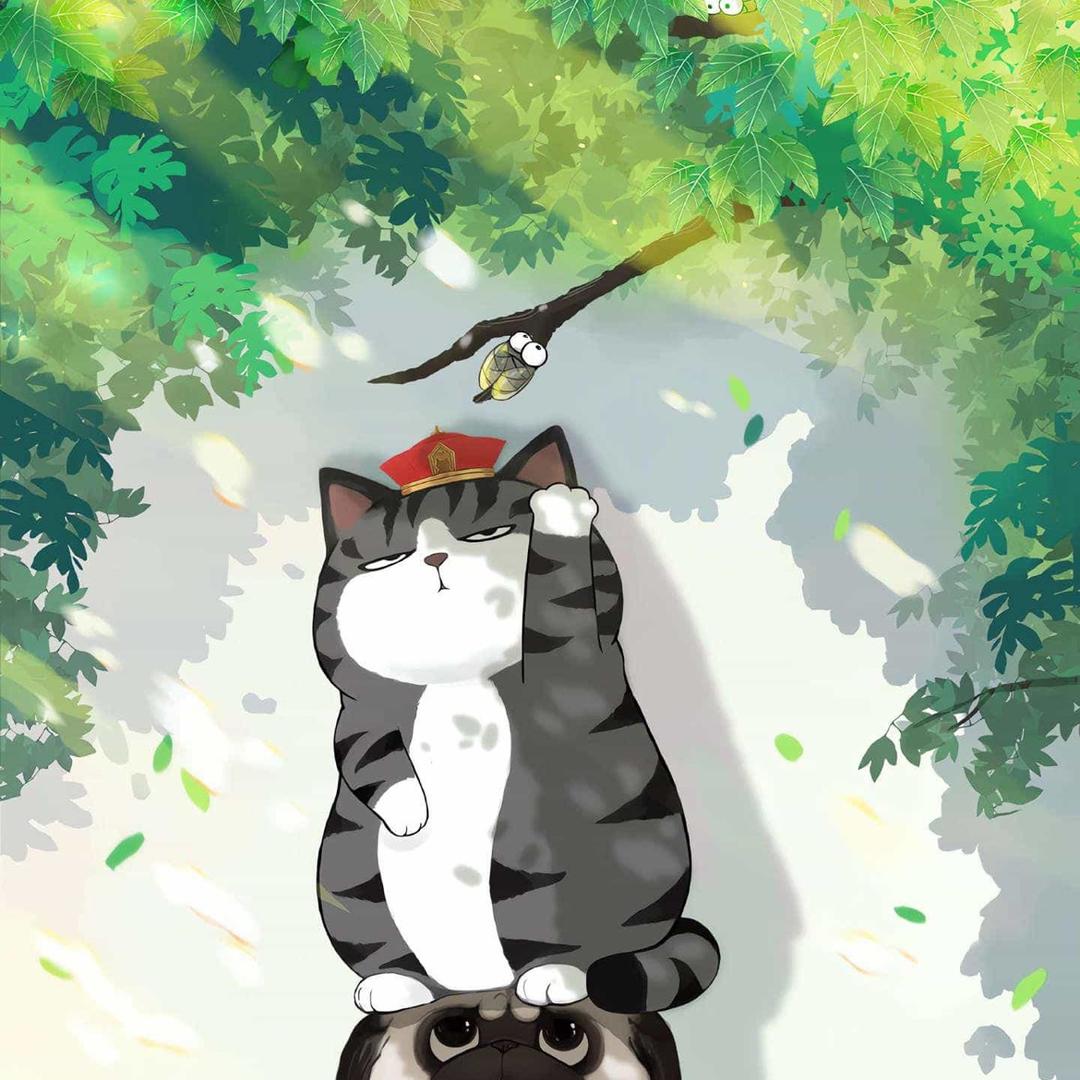 阿远🍀