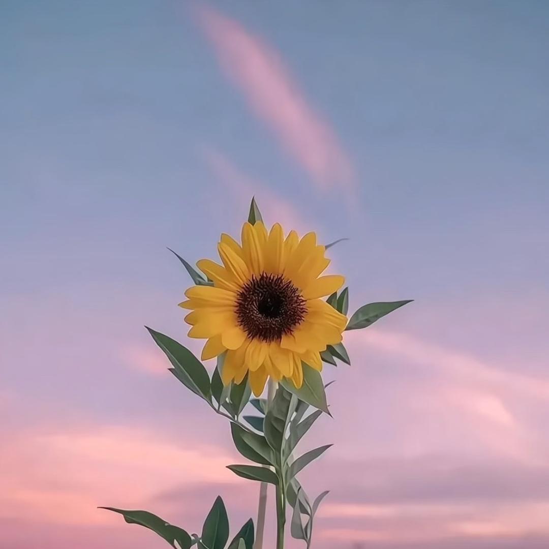 抖音用户8543678257884