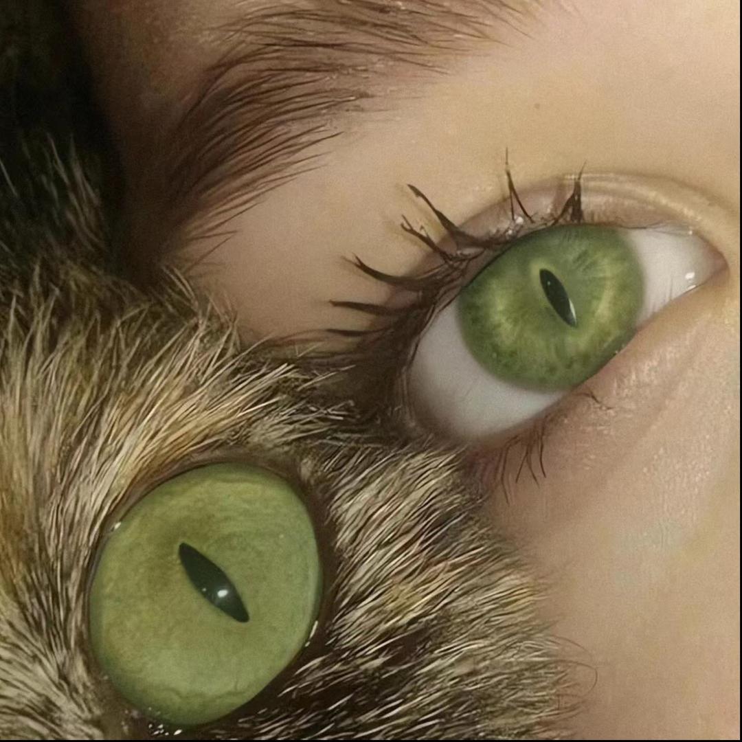 愿烛