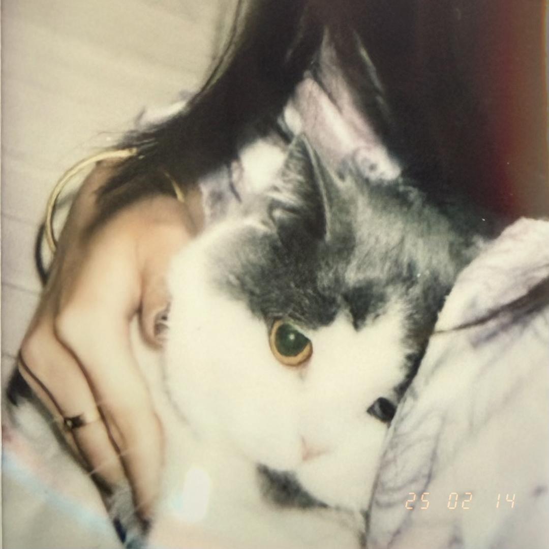 ʚ昕昕子ɞ