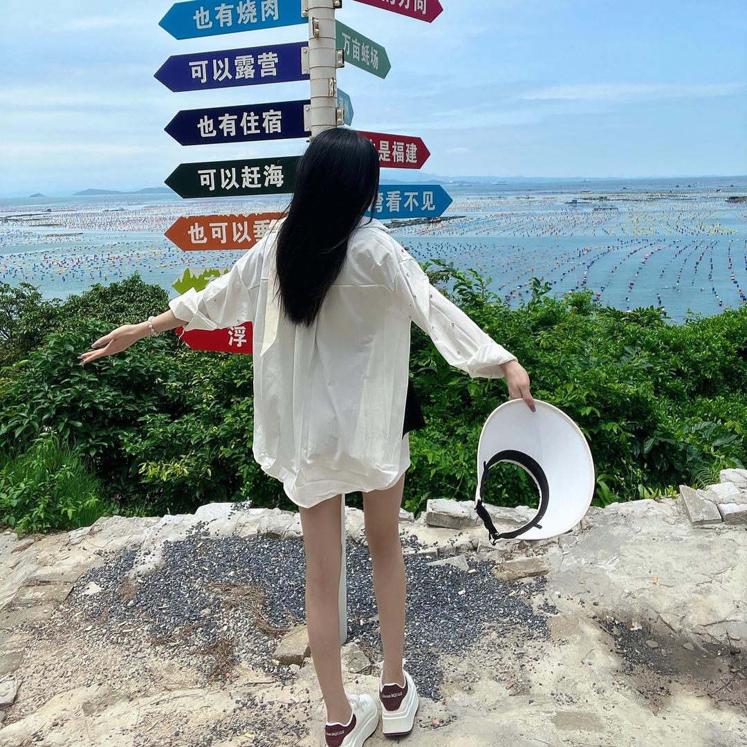 叙利亚机甲霸王龙