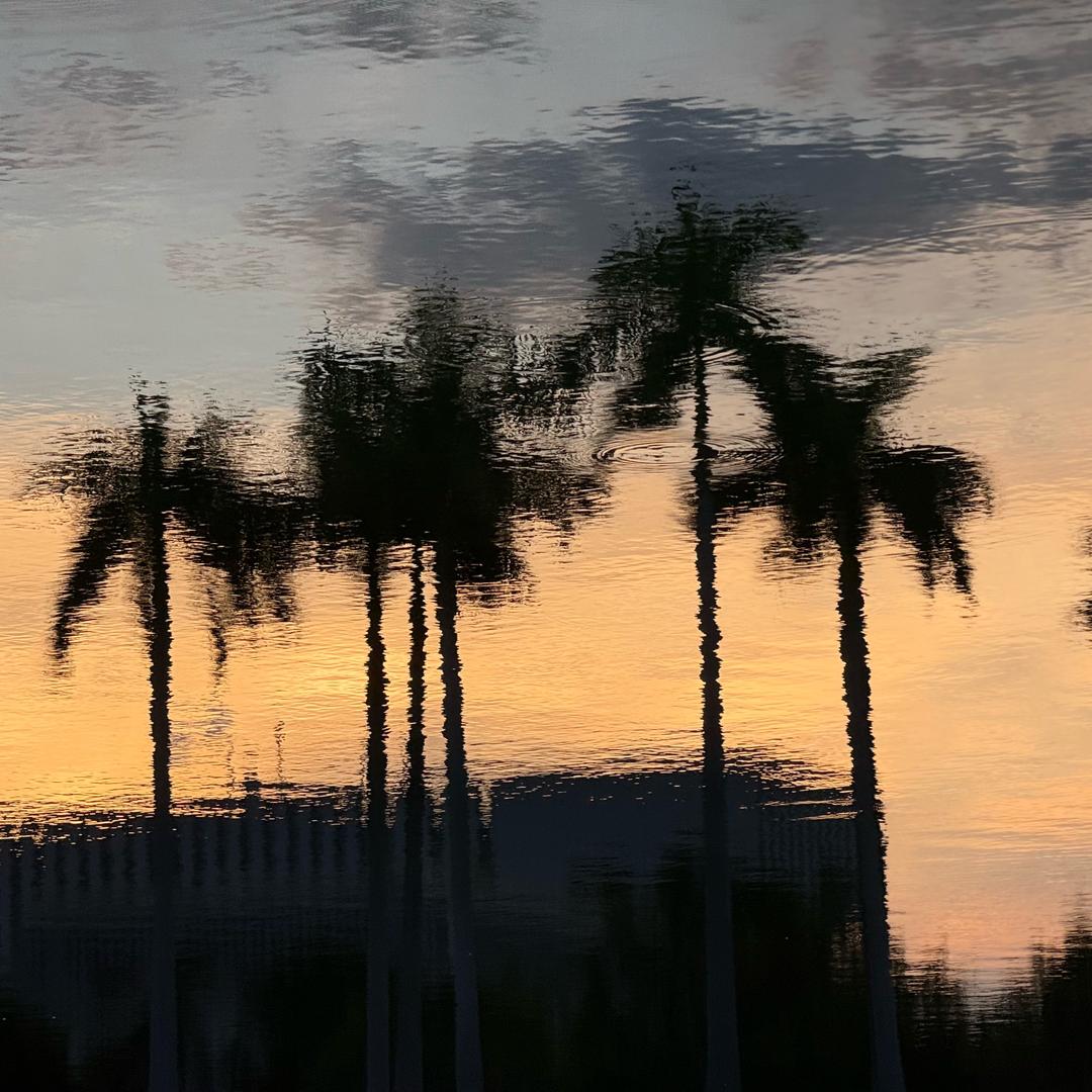 毛毛雨