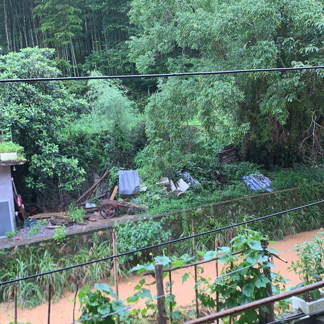 小金子