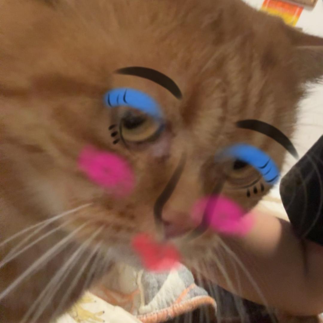 lazana