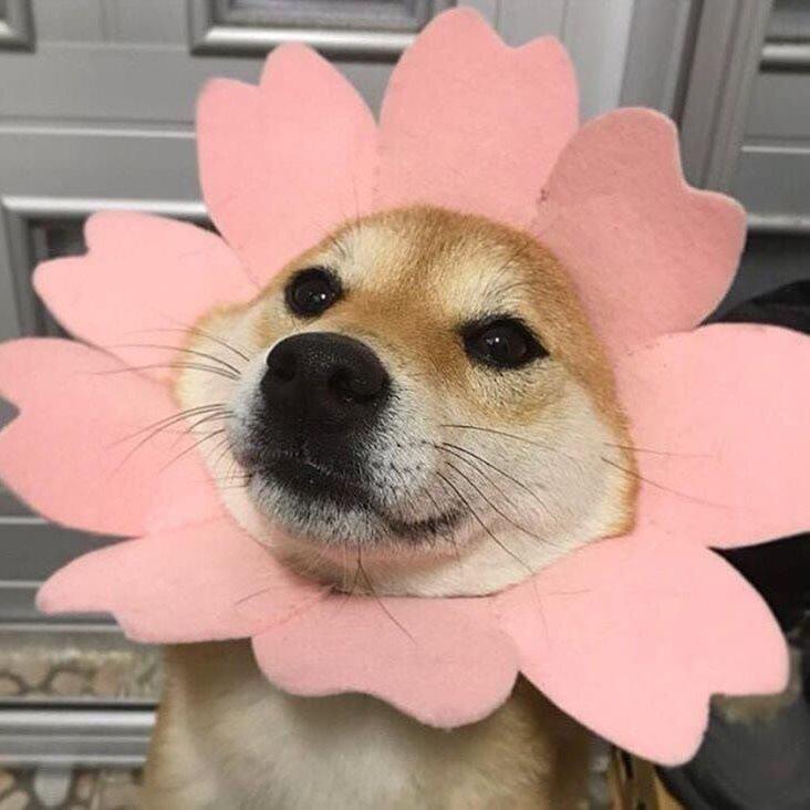 嬉姐爱分享服装